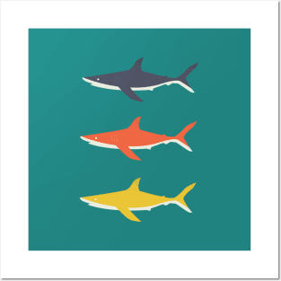 The Three Shark-eteers - Sharks Posters and Art